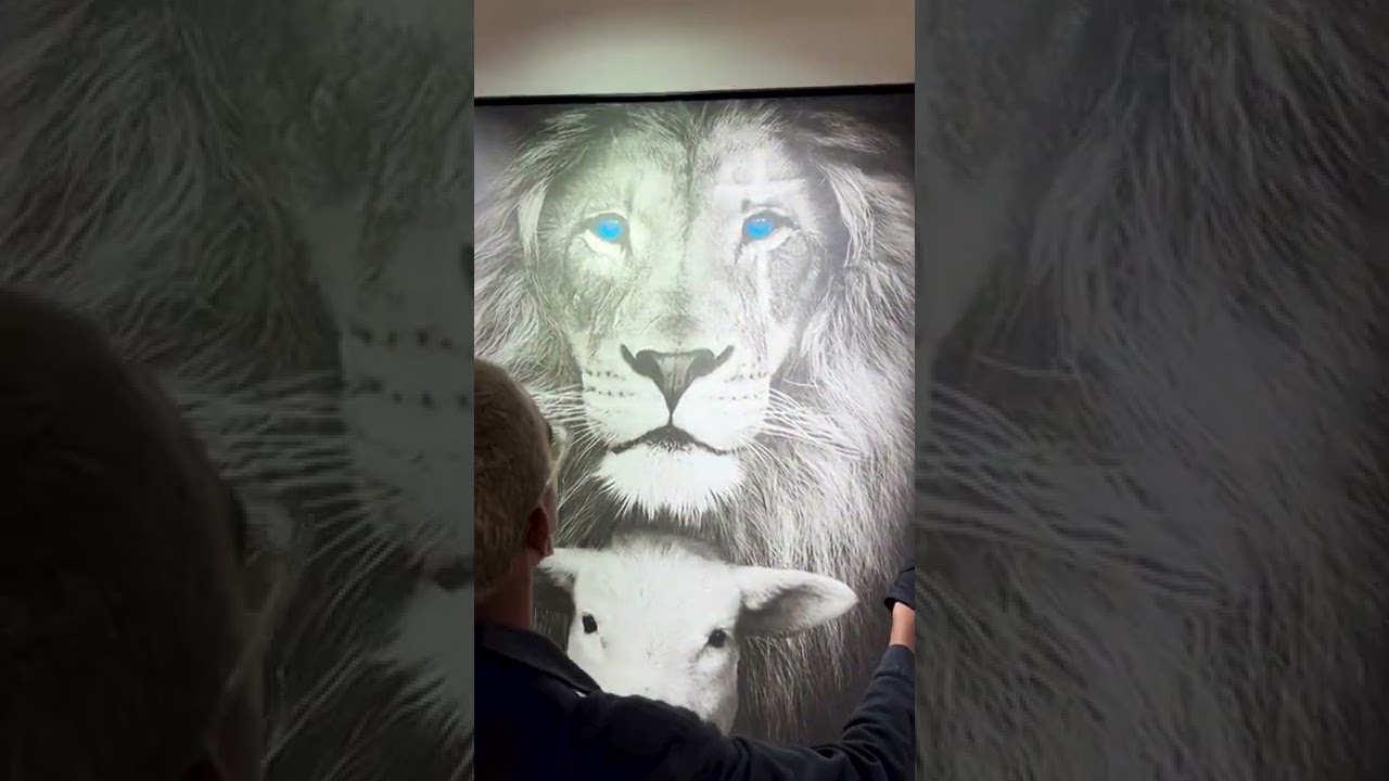 Vídeo de Quadro O Leão e o Cordeiro