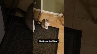 Little Dude Had A Lot To Say This Morning...