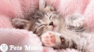 Falling Into Sleep Instantly with Healing Sleep Music That Cat Like  Therapy Music for Cats