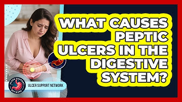 What Causes Peptic Ulcers In The Digestive System? - Ulcer Support Network