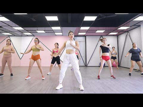 Arms + Legs + Belly + Hips | 14 DAY CHALLENGE | Zumba Class