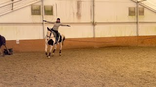 Jaru na kurzu v Drásově na Busterovi a Šárka v Líšni na Mangovi 🏇🏇 Voltiž ❊ Kavalety ❊ Křížky