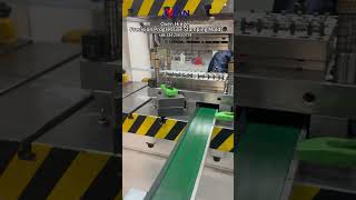 Custom Progressive Stamping Mold | Oven Hinge Hardware Manufacturing #yanman#mould#die