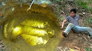 Searching for treasure on the hillside, I found a king cobra sleeping for thousands of years