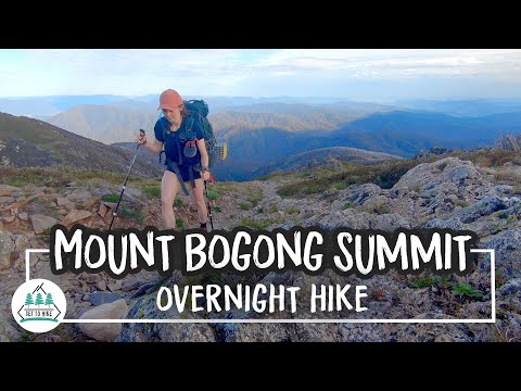 Mount Bogong - Victoria's Highest Mountain! - Alpine National Park