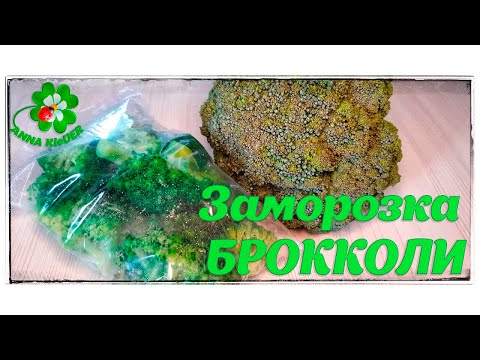 Вопрос: Как замораживать брокколи?