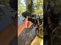 South India Bike Ride First Update on my Full setup View on my Royal Enfield Interceptor 650 #reel