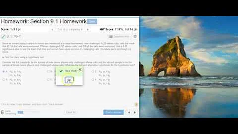 Using StatCrunch to perform hypothesis testing on two proportions of referee calls