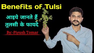 तुलसी के फायदे | Benefits of tulsi leaf | तुलसी के फायदे face के लिए | Benefits of tulsi for hair screenshot 5