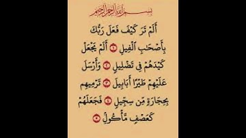 سورة الفيل الشيخ ياسر الدوسري #القرآن_الكريم #المصحف_المرتل #ياسر_الدوسري #quran