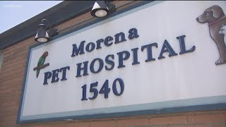 Pet hospitals remain overworked and understaffed amidst pandemic