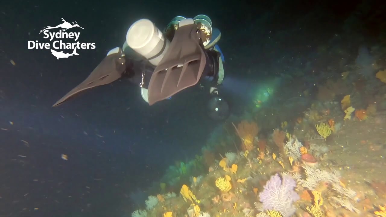 Technical scuba diving Sydney The Peak Reef Valley to wall best dive site (Part1)
