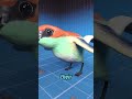 Why Birds Eat Rocks To Survive