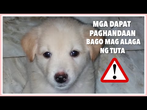 Video: Paano Iwanan Ang Iyong Tuta Sa Bahay