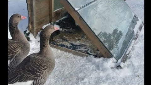 Tips &Tricks: Quickly Open Up A Bag Of Grain, On The 1st Try!