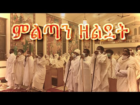 ቪዲዮ: የኒክ ጎርደን የተጣራ ዋጋ አሁን ምን ያህል ነው? እሱ ማን ነው? ዊኪ፡ መንትዮች፣ ቤዝቦል፣ ሾርትስቶፕ