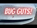 Remove bug guts with NO HOSE: the Rinseless Wash Method #bugremove #diydetail