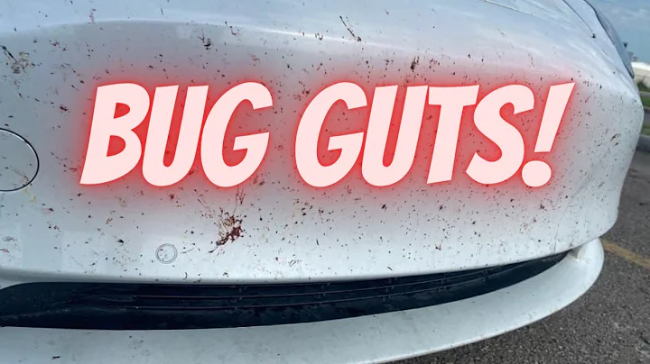 Remove bug guts with NO HOSE: the Rinseless Wash Method #bugremove #diydetail