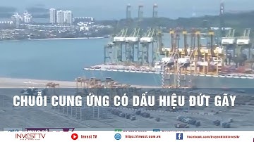Chuỗi cung ứng có dấu hiệu đứt gãy | INVEST TV