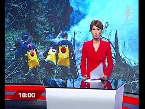 სოფელ ძიროვნის ტყეში ხანძარი ლიკვიდირებულია