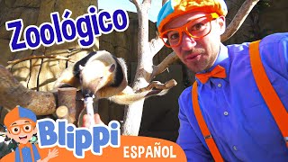 Blippi visita el zoológico y el acuario  | Blippi Español | Videos educativos para niños