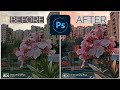 Golden Hour Photo Effect Using Adobe Photoshop Camera | Android & iOS