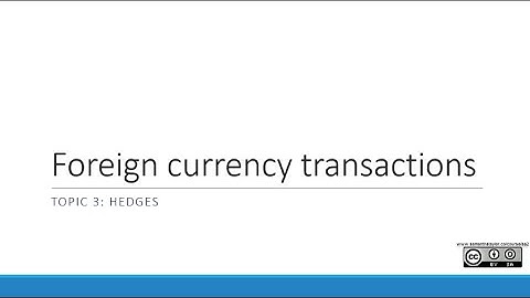 Hedges (an Overview) | Topic 3 | Foreign Currency Transactions