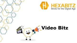 Vb1 Hexabitz In A Nutshell