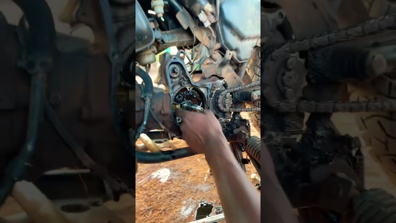 Hero passions pro coil plate o ring & oil sil fiting