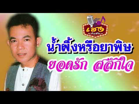 น้ำผึ้งหรือยาพิษ - ยอดรัก สลักใจ OFFICIAL AUDIO