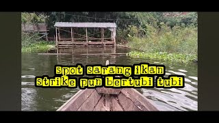Strike bertubi tubi di lapak full gatget II mancing Cirata terbaru 2026