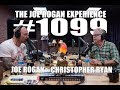 Joe Rogan Experience #1099 - Christopher Ryan