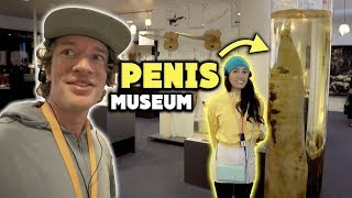 Worlds Only  Phallological (PENIS) Museum 🤣 .. Iceland's weirdest place