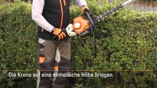 Taille-haies STIHL HS 82 R 75 cm - Thomas Rural Master