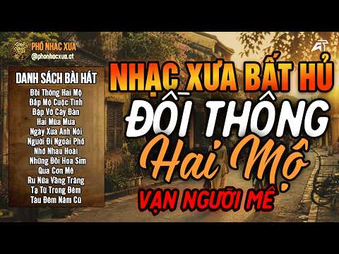 Đồi Thông Hai Mộ - LK Bolero Trữ Tình Hay Nhất Hiện Nay, Nhạc Vàng Xưa Chọn Lọc VẠN NGƯỜI MÊ