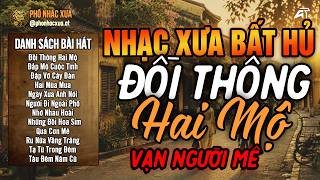 Đồi Thông Hai Mộ - LK Bolero Trữ Tình Hay Nhất Hiện Nay, Nhạc Vàng Xưa Chọn Lọc VẠN NGƯỜI MÊ