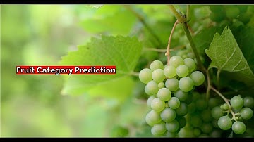 Fruit Category Prediction @ML Mini-Project @Logistic Regression