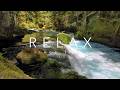2 Hours Flowing River and Relaxing Music 🌿 Forest Nature Ambience for Sleep, Study & Meditation
