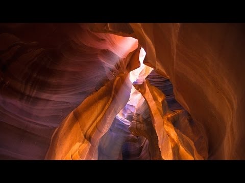Carbon Maestro - Aposha