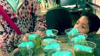 Great peep experiment