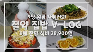 한여름에 냉장고에서 눈사람이 나오는 자취생 브이로그/한달 식비 3만원/자취생 요리/자취생 생활비 절약/짠순이/식비절약 [짠순이 절약 V-LOG]