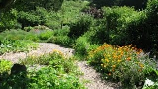 Spring Zen-a-thon 2016