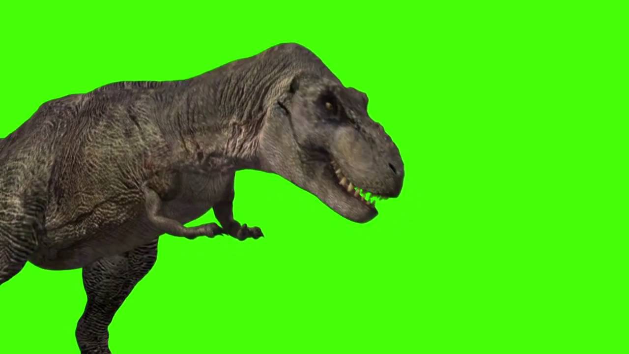 free 4k green screen footage