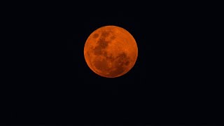 Total lunar eclipse will turn moon red later this week