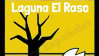 Laguna el raso