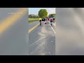 Driver appears to hit cyclists during road confrontation