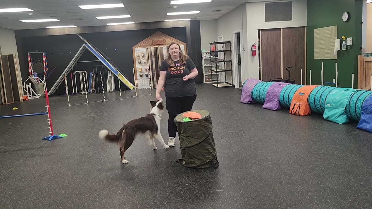 Wrapping an Obstacle - Agility Foundations