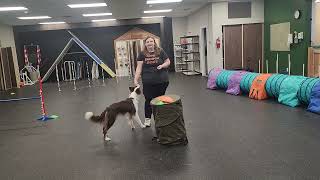 Wrapping an Obstacle - Agility Foundations
