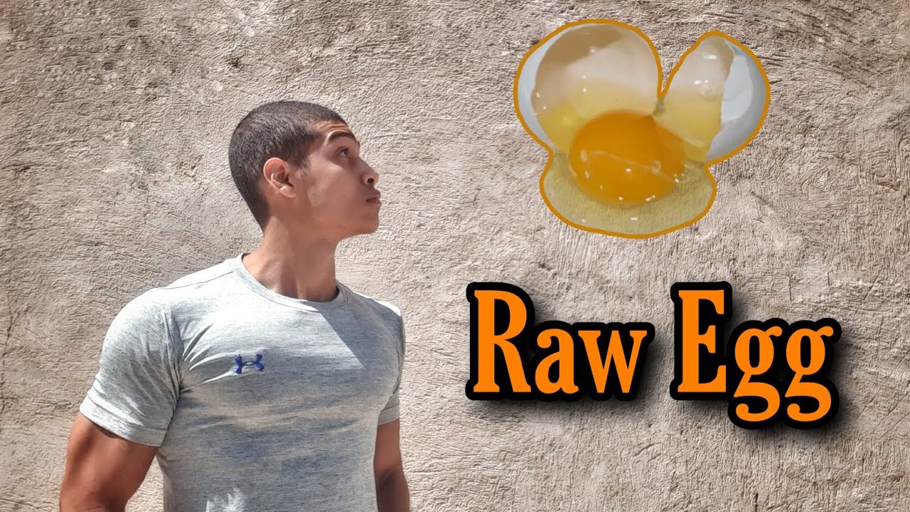 مخاطر البيض النئ Dangerous of raw egg YouTube
