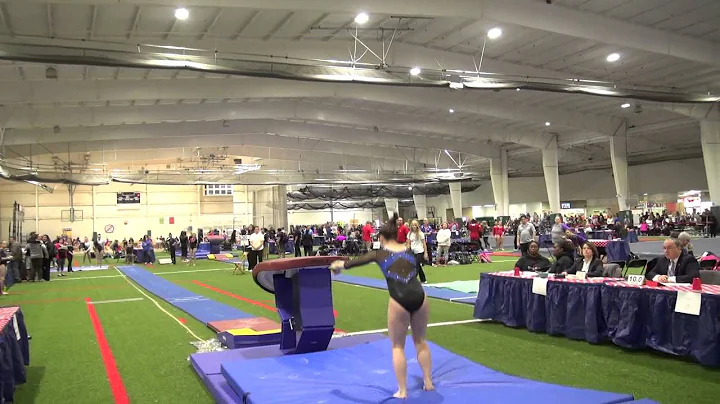 Sarah Gantner, JPAC JRB Vault 2015 R5Champs